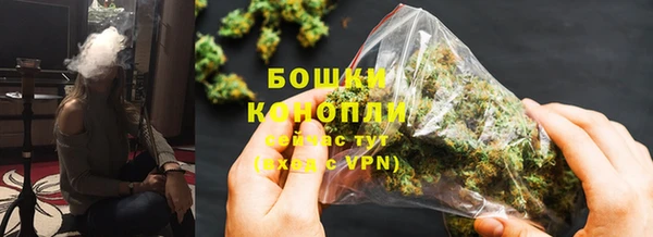стафф Верхний Тагил