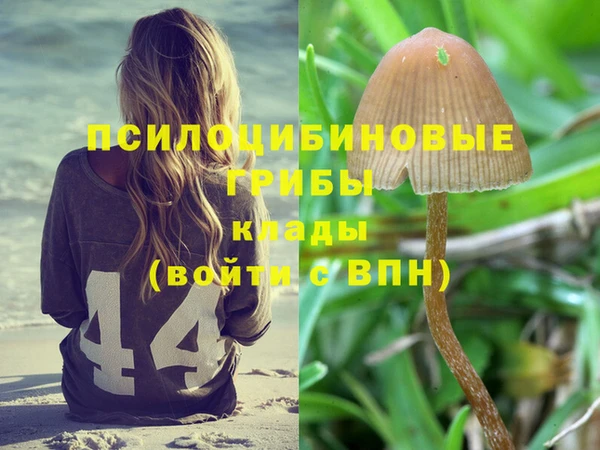стафф Верхний Тагил