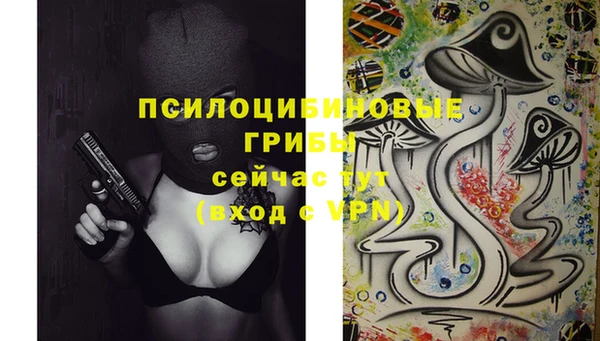стафф Верхний Тагил