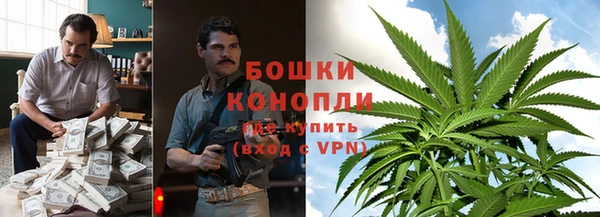 стафф Верхний Тагил