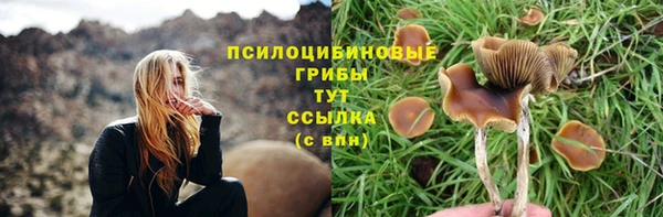 дурь Верея